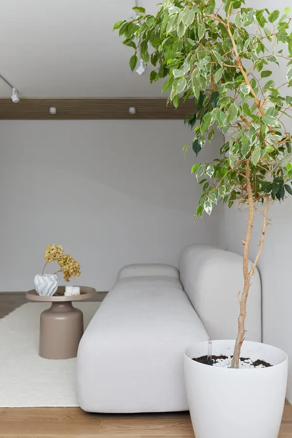 Дизайн проект квартиры от Варнавской Наталии