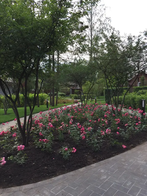 Террасный сад, Новая Рига