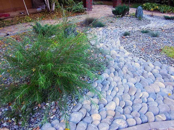 Тематический сад