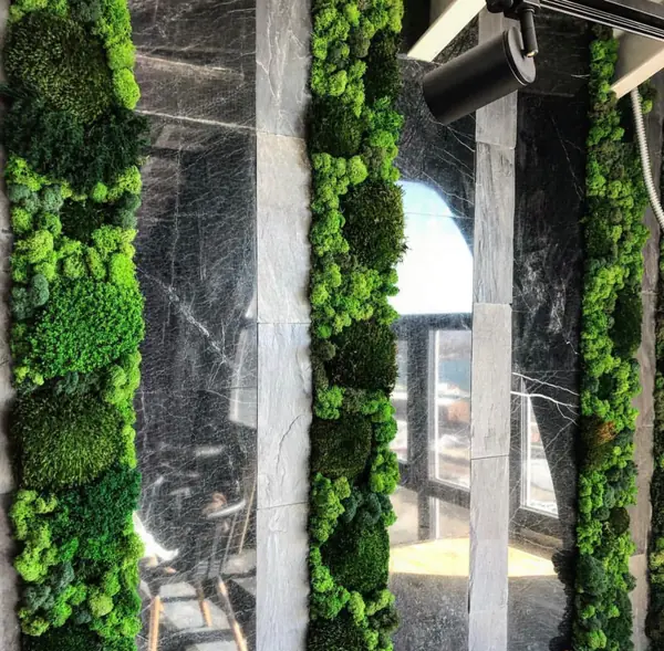 Стабилизированные и искусственные растения