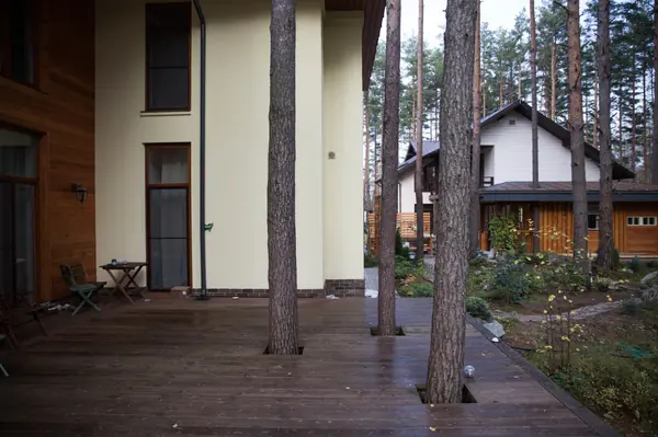 Дом в стиле Нео Райт