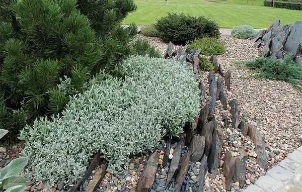 Тематический сад