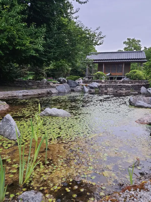 Декоративный фонтан в японском стиле в Ботаническом саду Петербурга