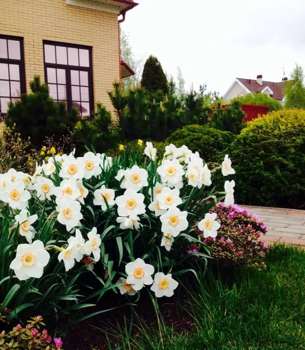 Фото выполненных работ