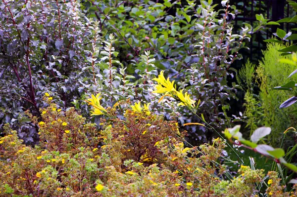 Новые Вешки