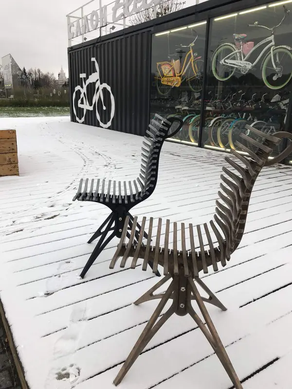 дизайнерский стул SkeletOon