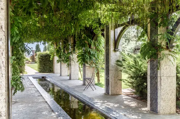 Камень и дерево