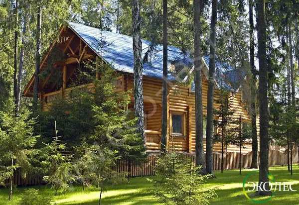 Дом "Лесная сказка"