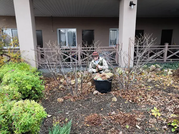 Уходные работы в саду