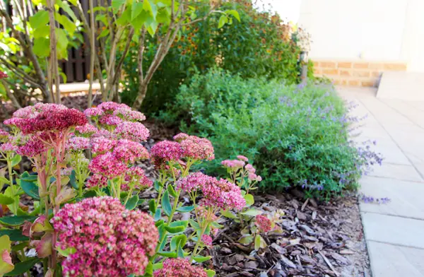 Павлово-2, 2022-2024 г.г.