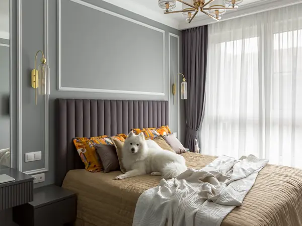 Уютная квартира 67 кв. м для молодоженов и большой собаки