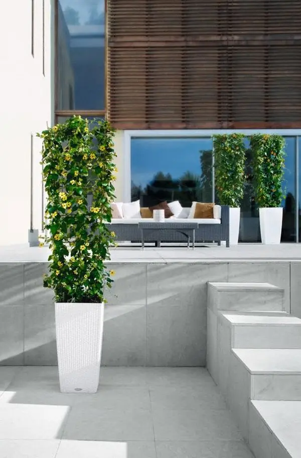 Стильный универсал