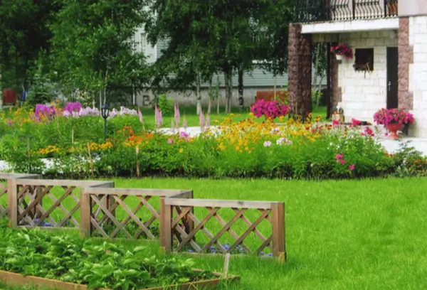 Озеленение