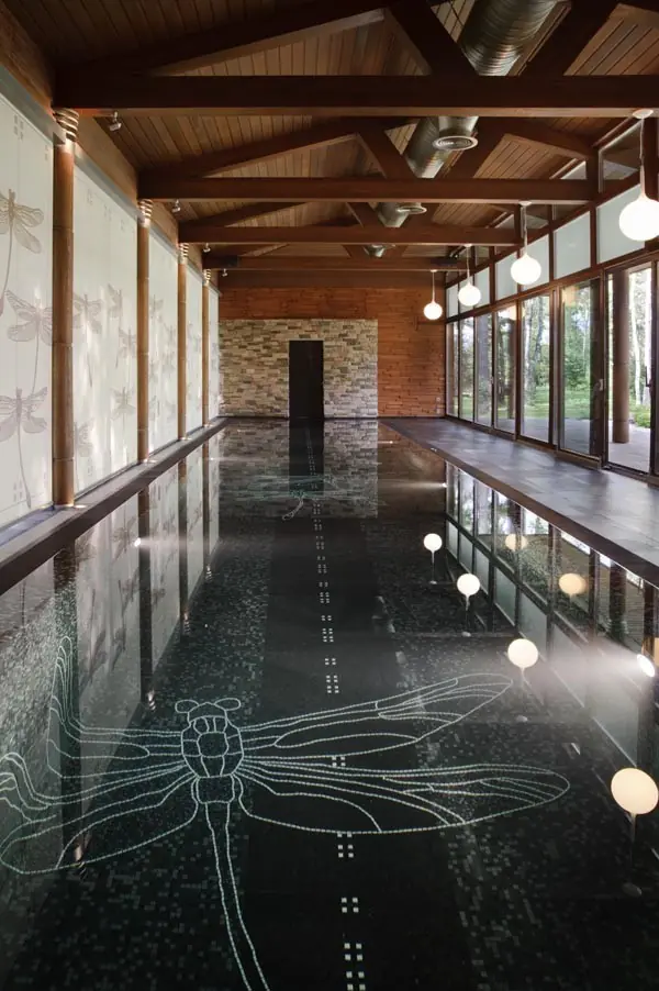 Дом со стрекозами