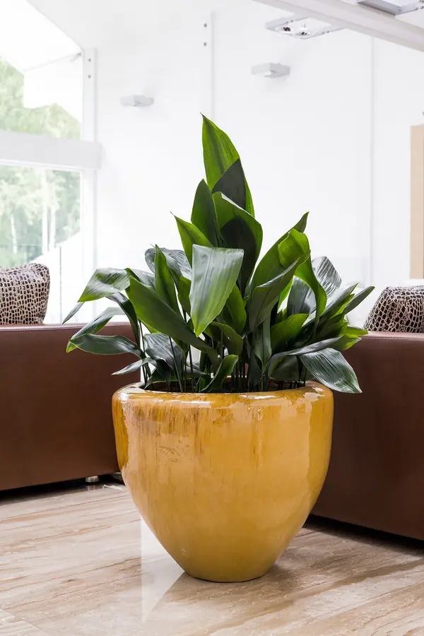 Частный интерьер, загородный дом