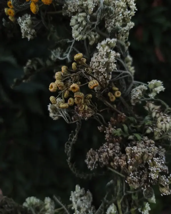 Декор из натуральных материалов