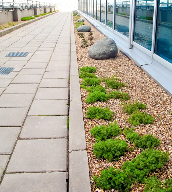 Москва-Сити, Северная башня, 2010 г.