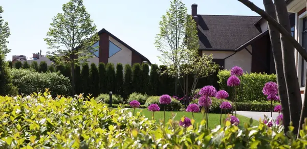 Тихая роскошь