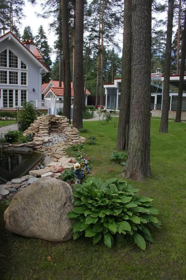 Реализация ландшафтного проекта в сосновом лесу