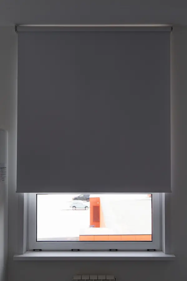 Рулонные шторы с тканью блэкаут