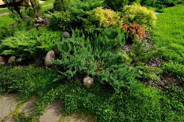 Зеркальный Ландшафтное проектирование