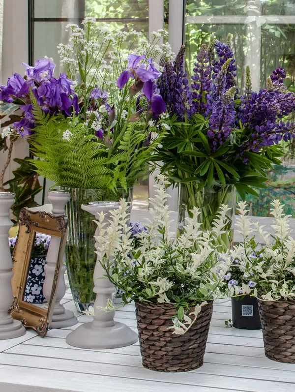 "Второе дыхание"