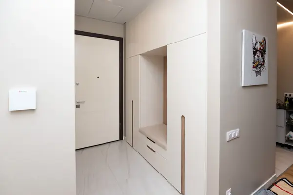 Гардероб и шкаф в прихожую в минималистичном стиле