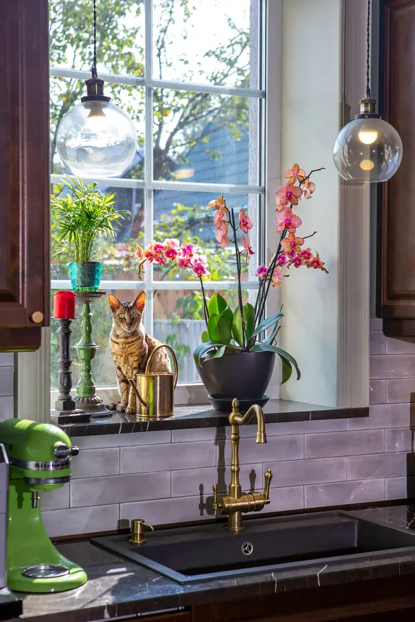 Дуплекс в куркино