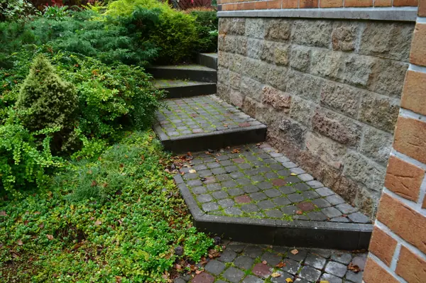 Проект в Ильичёво