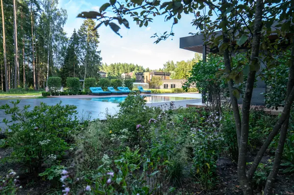 Лесные Зори. 1 Га. 2023 г.