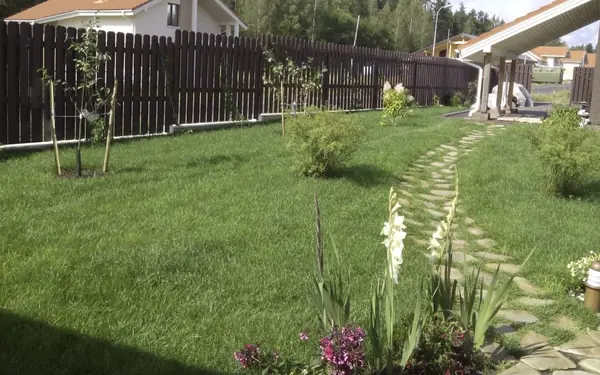 Наши работы