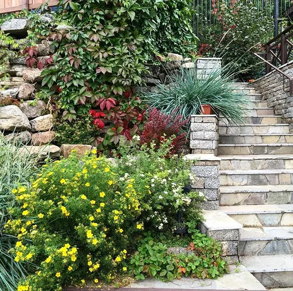 Сад пяти комнат