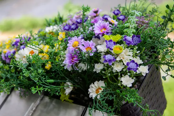 Наши проекты