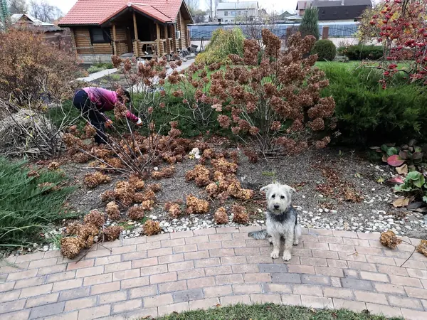 Уходные работы в саду