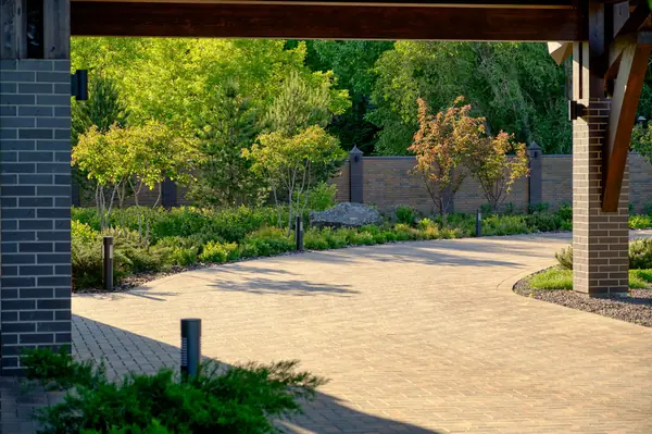 Ирга в саду