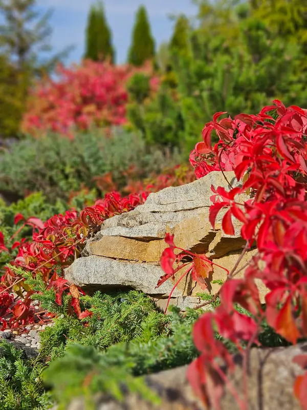 Миллениум парк 2024