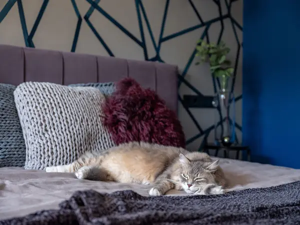 Квартира в Московском