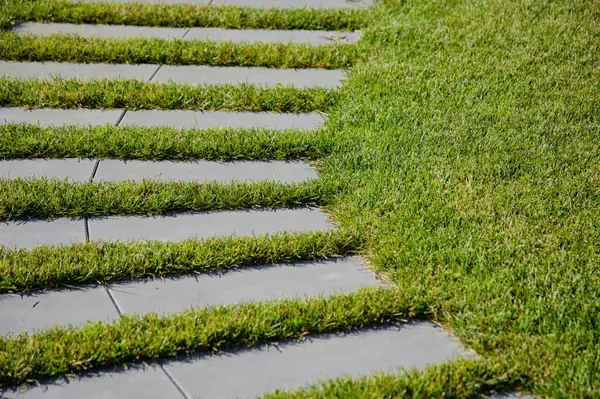 Репино парк сад камня