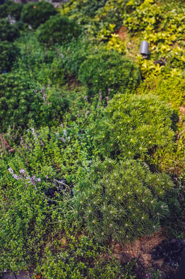 Архитектурное Решение в Пейзажном Стиле