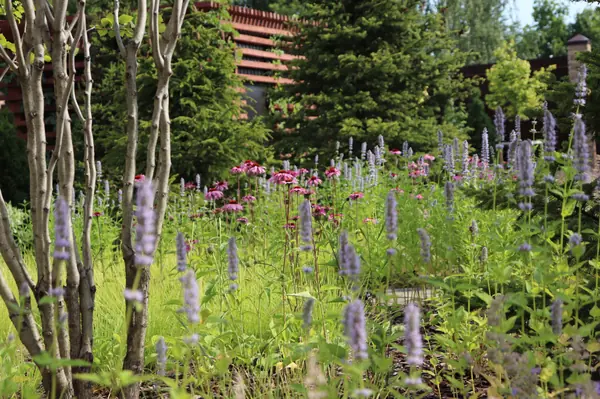 WB Парковая часть