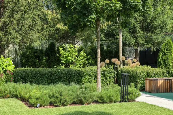 Игра в геометрию