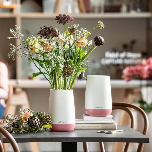 Насладитесь моментом