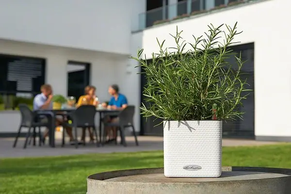 Интеллектуальный дизайн