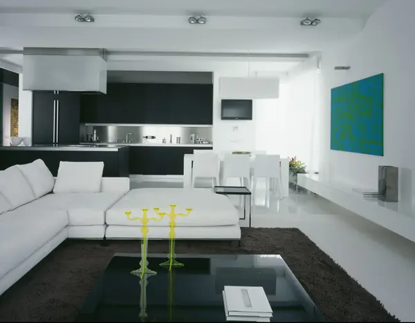 Interior of the flat in Vorobevu goru