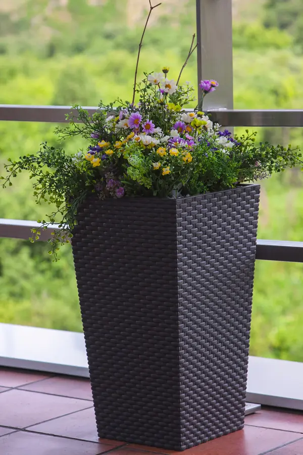 Наши проекты