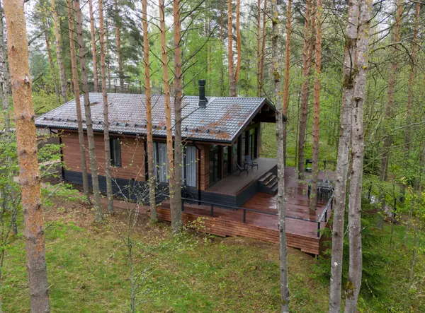 Каркасный дом в сосновом лесу