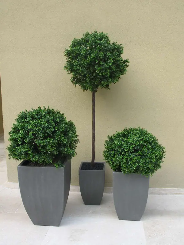 Контейнерное уличное озеленение