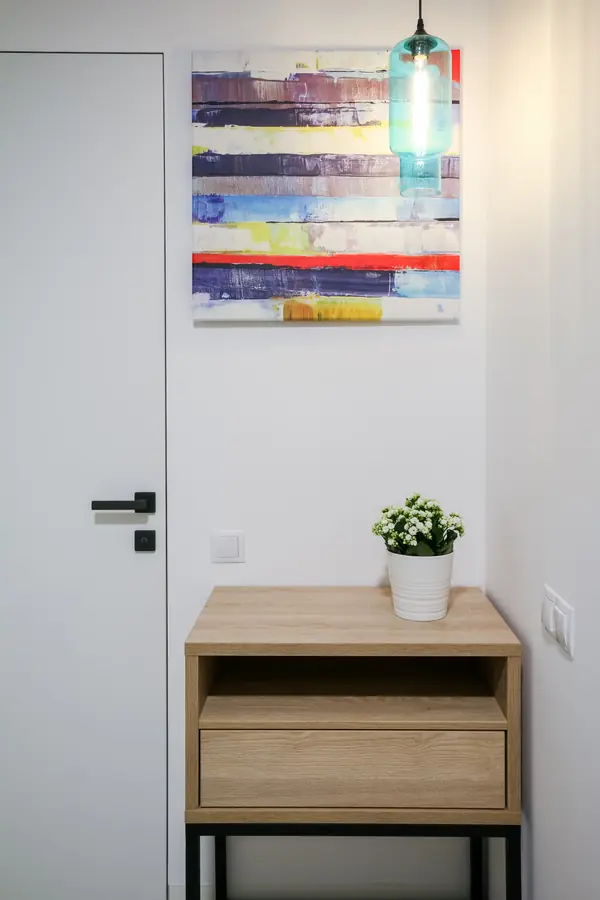 Квартира для молодой студентки. Холл.