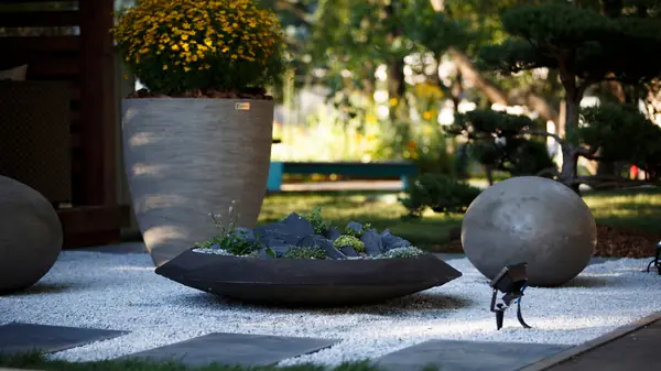 Вазоны и кашпо