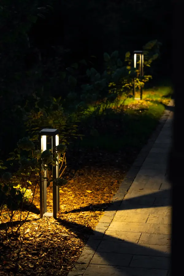 Репино парк